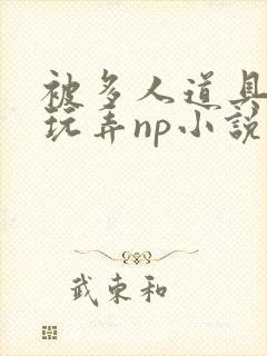 被多人道具调教玩弄np小说封面