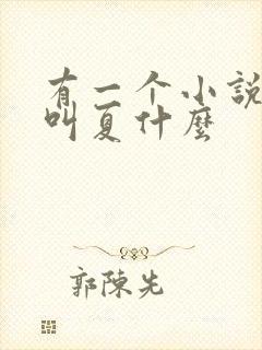 有一个小说女主叫夏什么