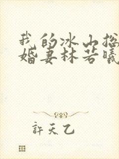 我的冰山总裁未婚妻林若曦