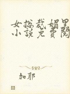 女总裁媚黑堕落小说免费阅读女总裁封面