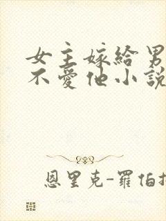 女主嫁给男主但不爱他小说