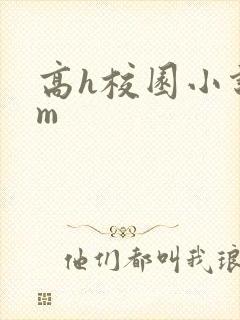 高h校园小说sm