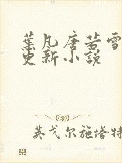 叶凡唐若雪最新更新小说