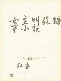 女主叫苏糖的快穿小说