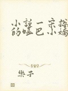小说一宋总,你的哑巴小娇妻逃走了
