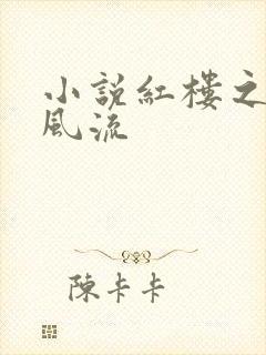 小说红楼之庶子风流封面