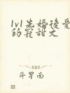 1v1先婚后爱的宠甜文