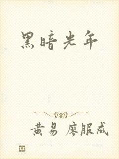 黑暗光年封面