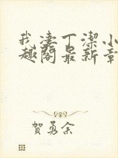 我凄丁洁小说笔趣阁最新章节更新时封面