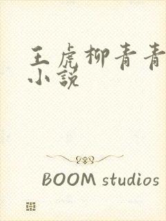 王虎柳青青继父小说