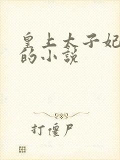 皇上太子妃沈音的小说