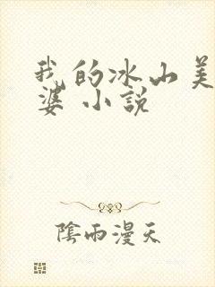 我的冰山美女老婆 小说封面