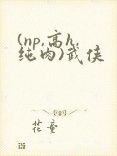 (np,高h,纯肉)武侠