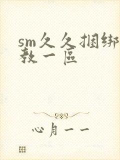 sm久久捆绑调教一区