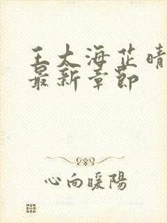 王大海芷晴免费最新章节