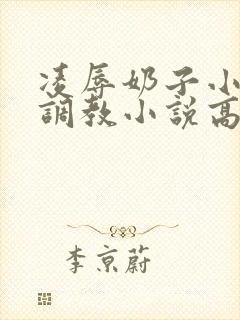 凌辱奶子小说上调教小说高h