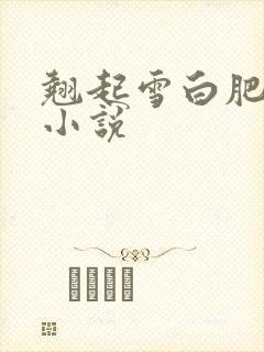 翘起雪白肥臀的小说
