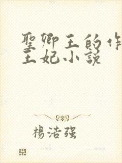 圣卿王的作妖小王妃小说