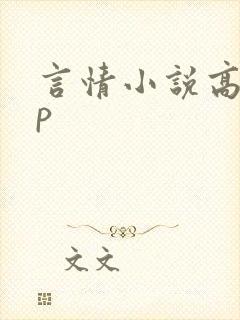 言情小说高hnp