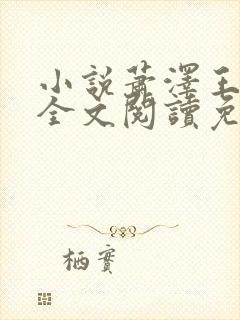 小说萧泽王雪凤全文阅读免费