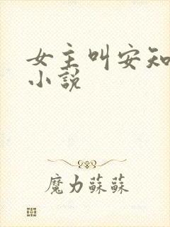 女主叫安知夏的小说