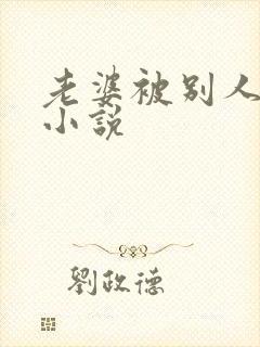 老婆被别人干了小说