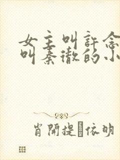 女主叫许念男主叫秦彻的小说