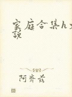 家庭合集h文小说封面