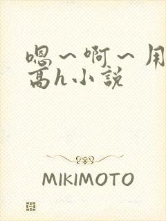 嗯～啊～用力～高h小说