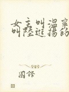 女主叫温宁男主叫陆进扬的小说