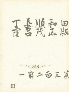 丁长顺和田晓兰霍吕茂正版