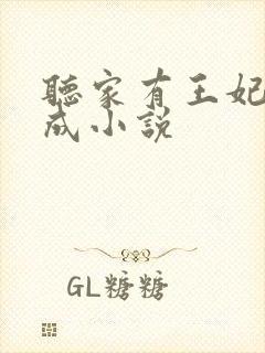 听家有王妃初长成小说