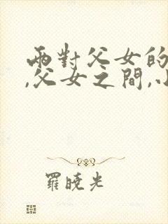 两对父女的喜剧,父女之间,小说