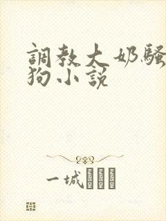 调教大奶骚货母狗小说