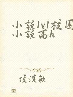 小说1v1校园小说高h封面