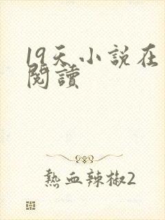 19天小说在线阅读