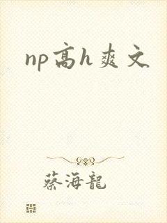 np高h爽文