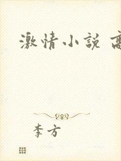 激情小说 高h