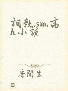 调教,sm,高h小说