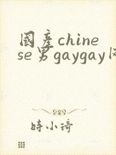 国产chinese男gaygay网站