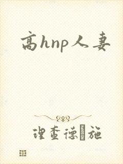 高hnp人妻