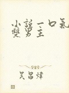 小说一口气看完双男主封面