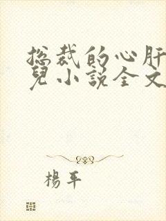 总裁的心肝宝贝儿小说全文阅读