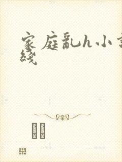 家庭乱h小说在线封面