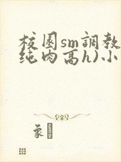 校园sm调教(纯肉高h)小说