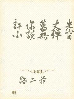 许你万丈光芒好小说无弹窗无广告