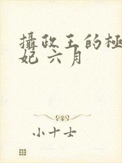 摄政王的极品医妃 六月