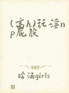 (高h)玩淫np屁股