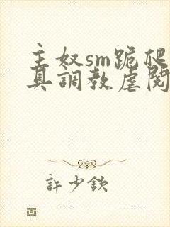 主奴sm跪爬道具调教虐阅读封面