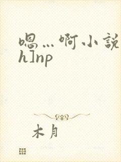嗯…啊小说[高h]np